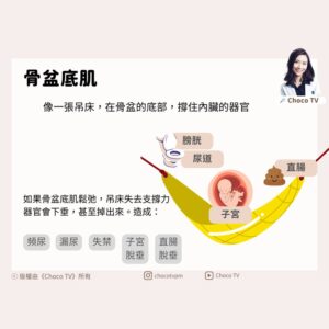 骨盆底肌是什麼？｜鄭芷薇醫師 Instagram 衛教圖文